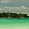 Seychelles - Praslin - Chauve Souris